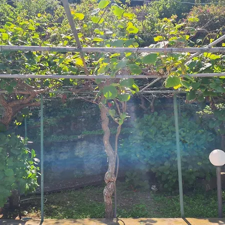 Apartman La Terrazza Sul Mare *