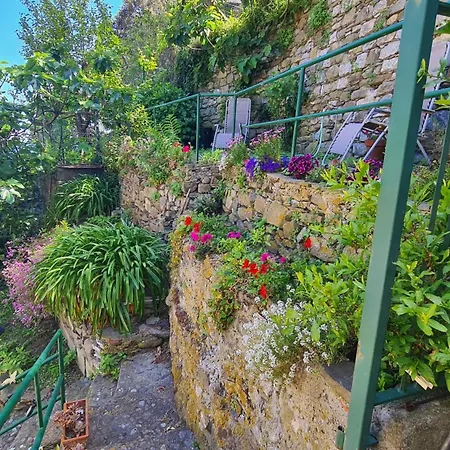 La Terrazza Sul Mare Apartman