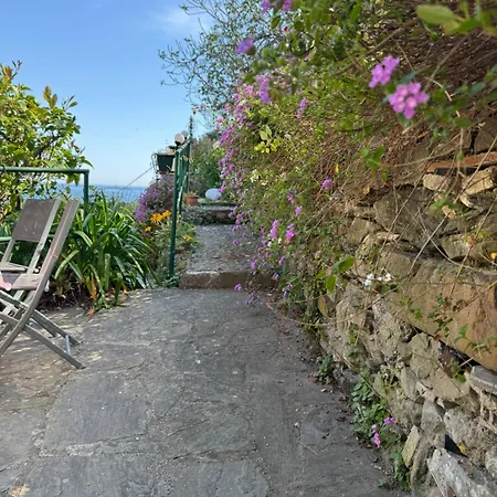 La Terrazza Sul Mare Sea View - Near Beaches